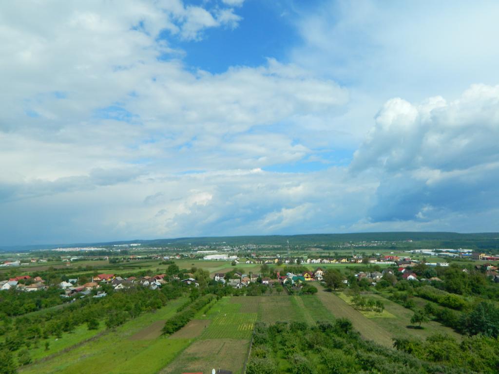 Pensiunea Andrei Maracineni Bagian luar foto